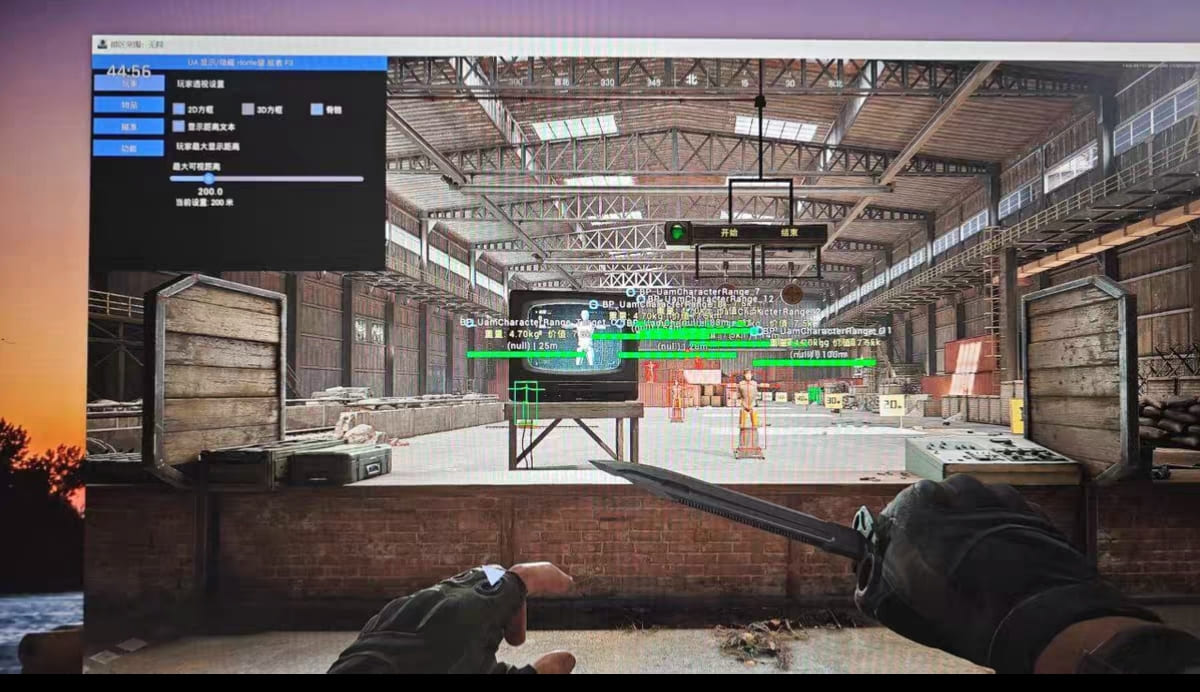 暗区突围Bingo辅助